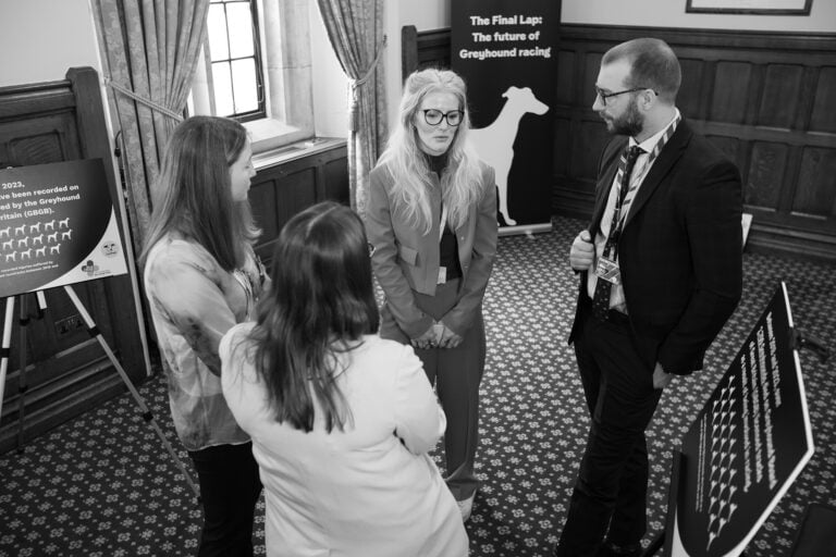 Corporate & Event & Portrait Photographer