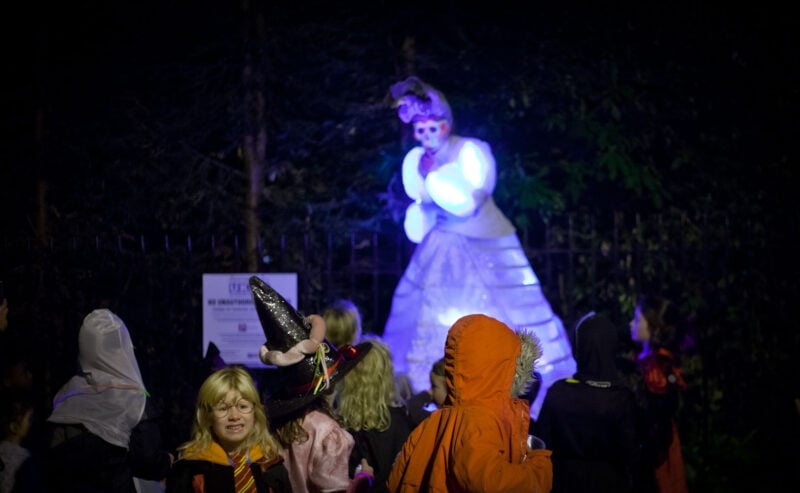 Event & Wedding Photographer