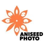 Profile photo for Aniseed Photo