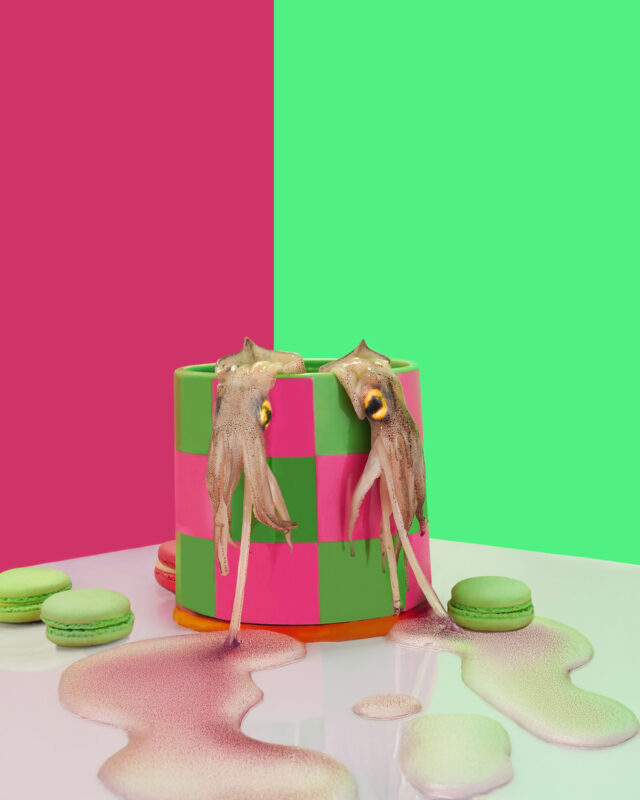 Event & Food Photographer Ealing London