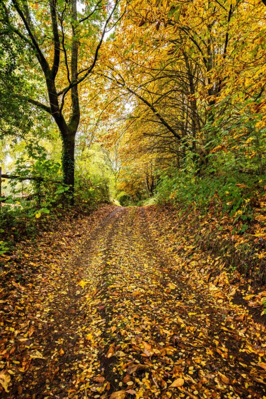 Landscape & Property Photographer Guildford Surrey