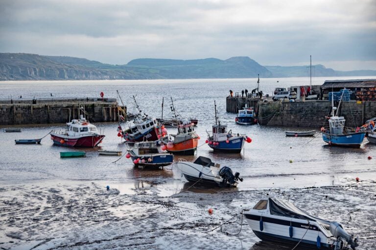 Find the Best Photographers in Guildford