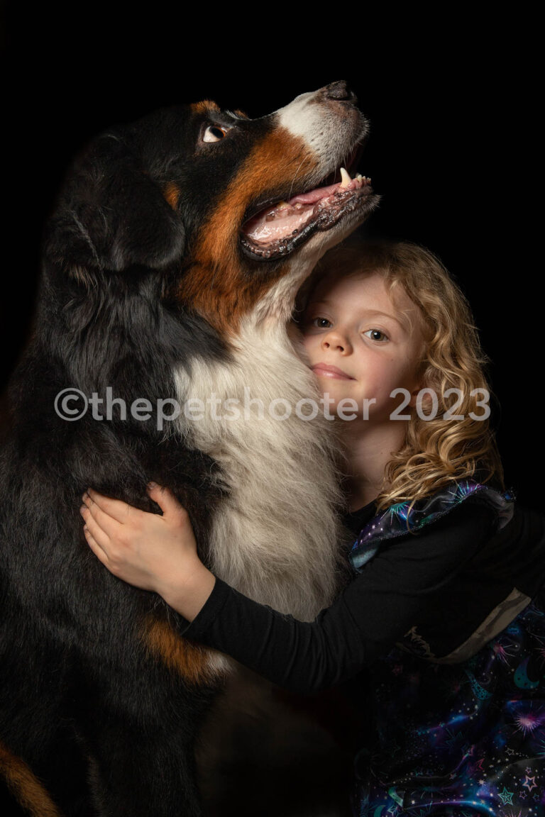 Find the Best Pet Photographers, Anywhere in the UK Photographerforhire.co.uk